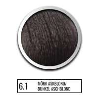 Tanis Professional - Hårfärg - Color-IT - 6.1 - Mörk Askblond
