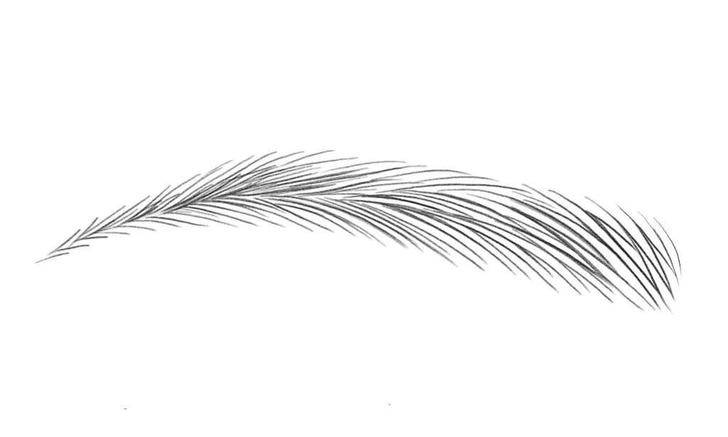 Microblading - IDANA Beauty
