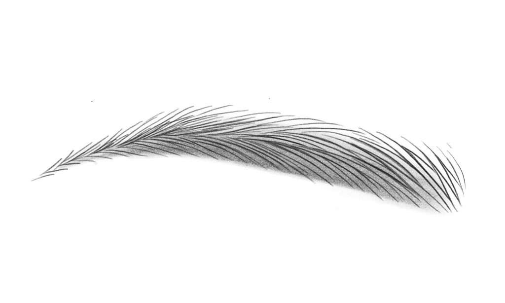 Microblading - Kombobryn - IDANA Beauty
